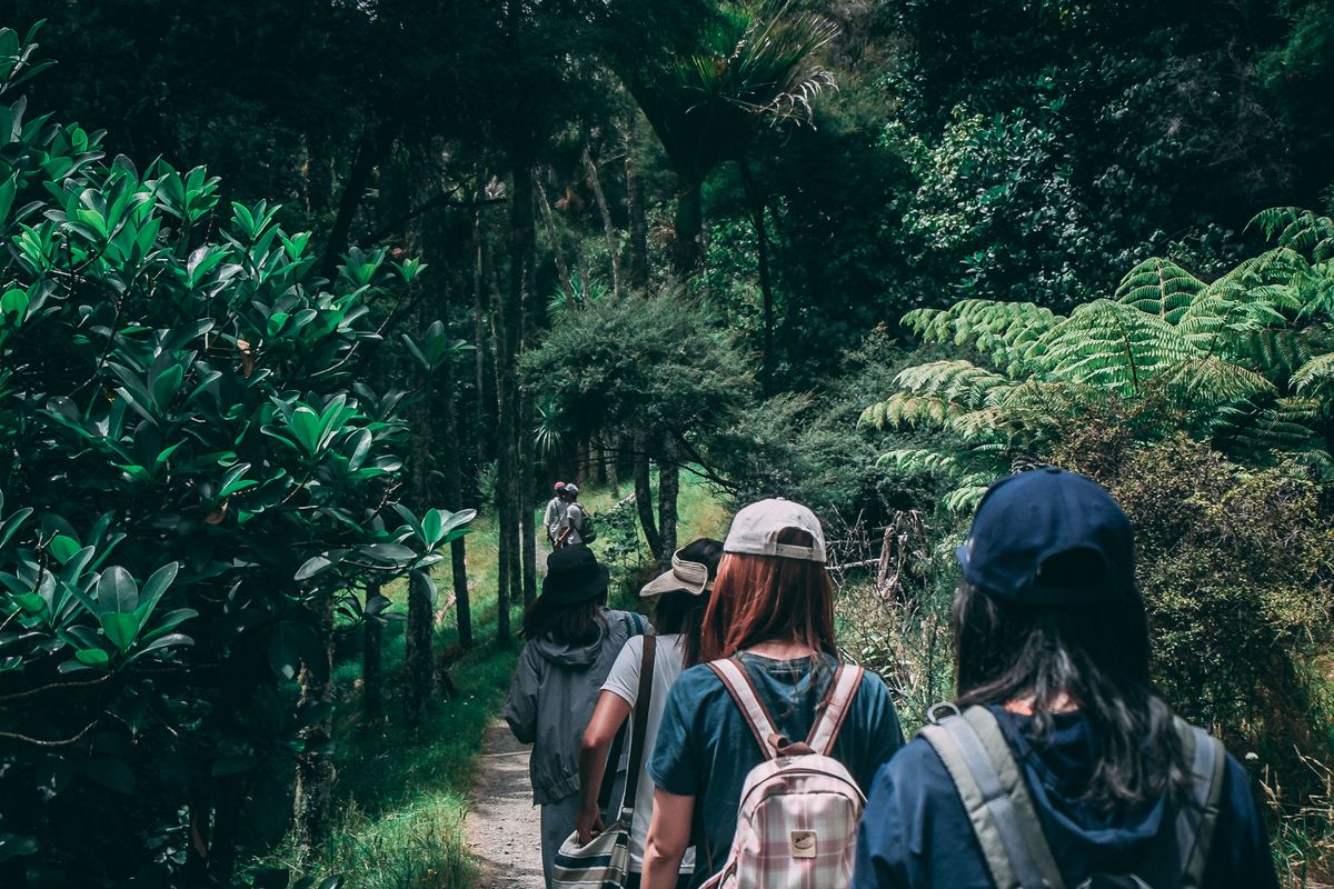Hikers with backpacks walking a green park pathway